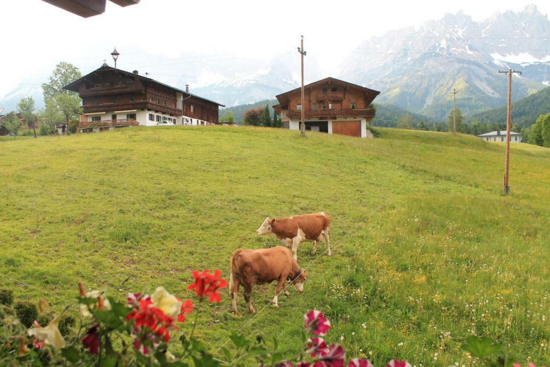 Pension Sunnberg Going am Wilden Kaiser 외부 사진